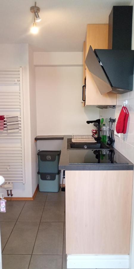 Ferienwohnung In Grenzach ภายนอก รูปภาพ