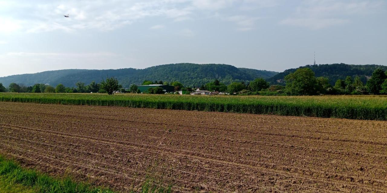 Ferienwohnung In Grenzach ภายนอก รูปภาพ